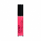 GLOSS & GO