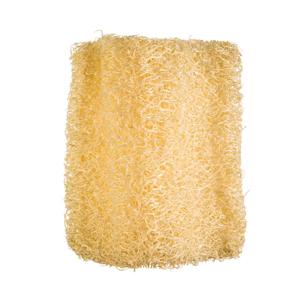 Loofah Sponge